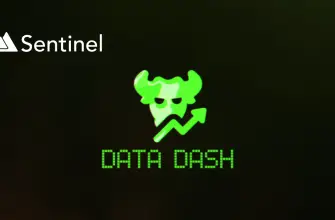 DataDash