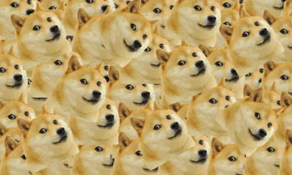 Dogecoin