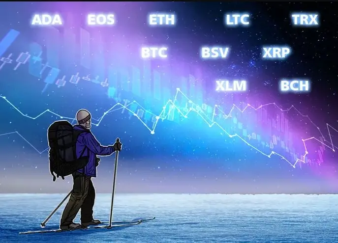 Bitcoin, Ethereum, Ripple, Bitcoin Cash, EOS, Stellar, Litecoin, Bitcoin SV, TRON, Cardano