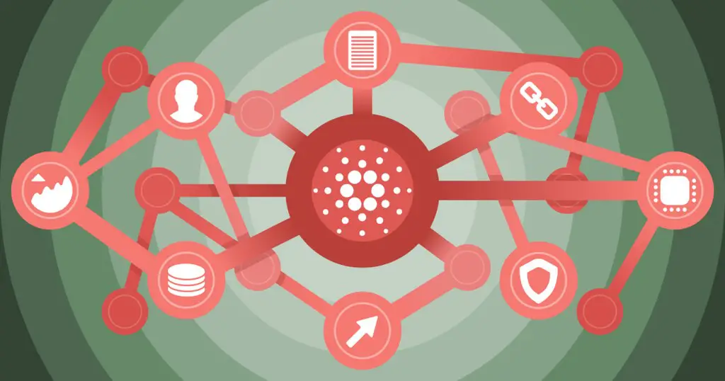 Seiza: Cardano (ADA) Blockchain Explorer