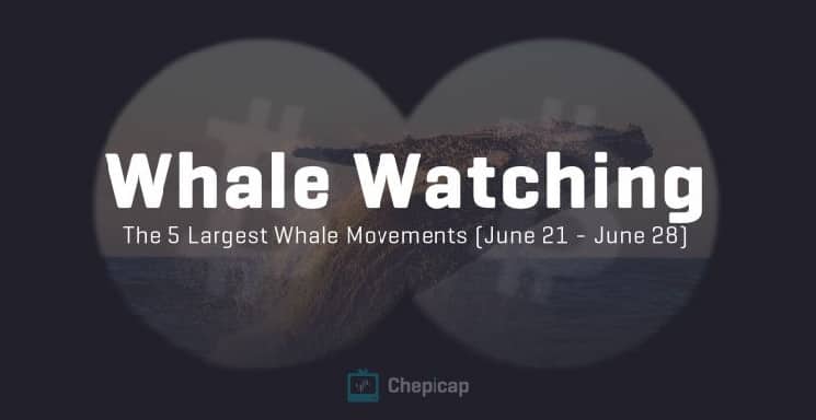 Whale Watching: Bitcoin price surge sees $425m in BTC whale moves