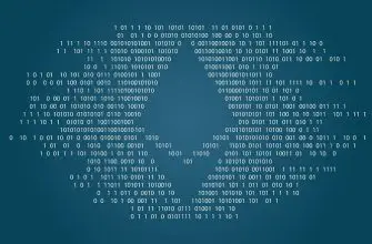18% всех блокчейн-разработчиков работают на Ethereum