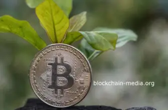 Argo запустит первый пул для майнинга Bitcoin на чистой энергии