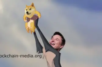 Последний твит Маска о Dogecoin вызвал яростные отклики