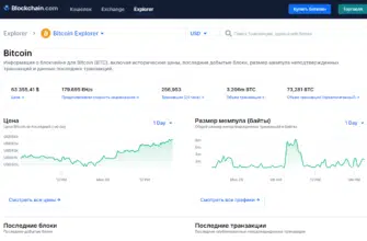 Обозреватель Bitcoin: Все, что вам нужно знать