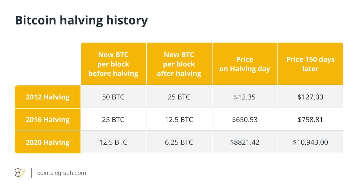 bitcoin halving price history