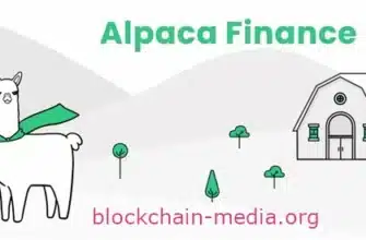 what-is-alpaca-finance